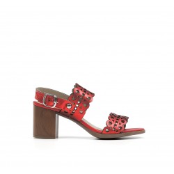 D8173-LA Zapatos Mujer